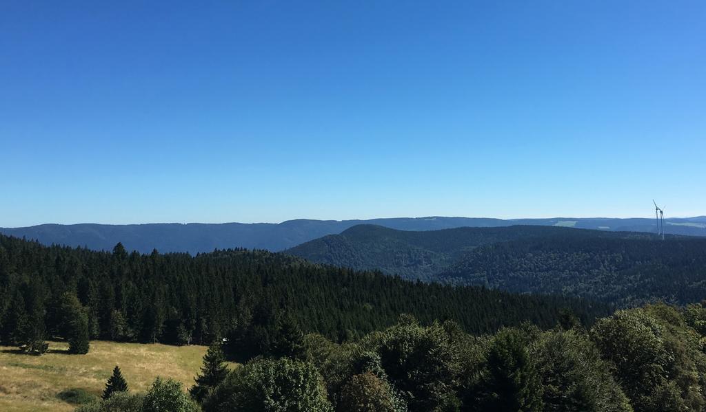Отель Berggasthaus Kandelhof Rohr  Экстерьер фото